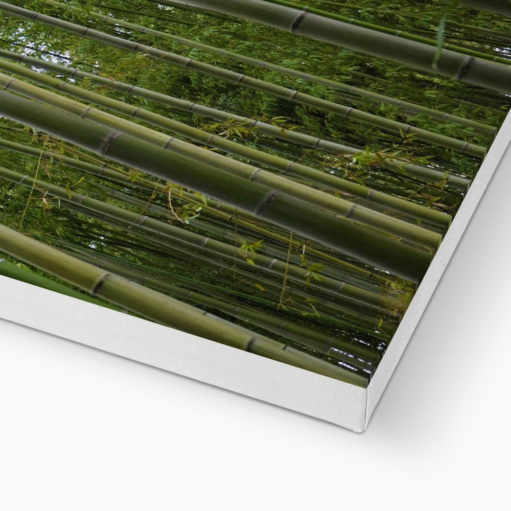 Nature: Bamboo Forest Eco Canvas