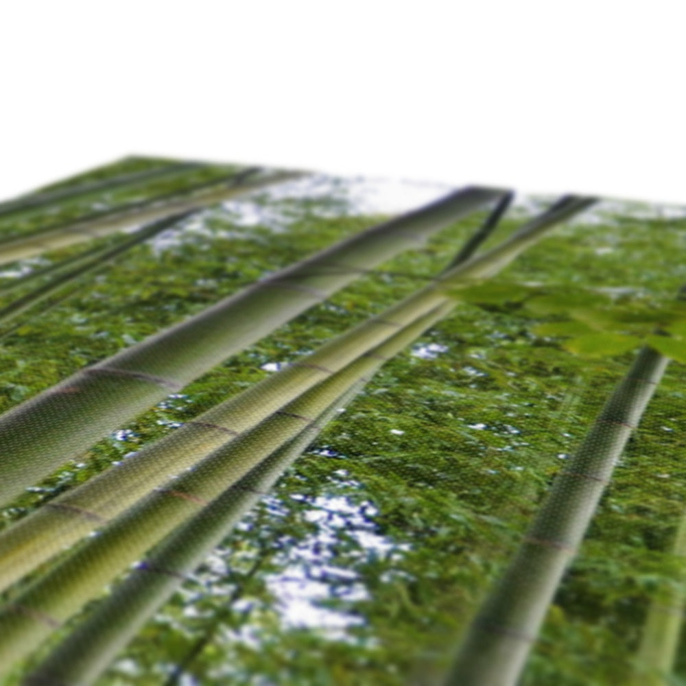 Nature: Bamboo Forest Eco Canvas