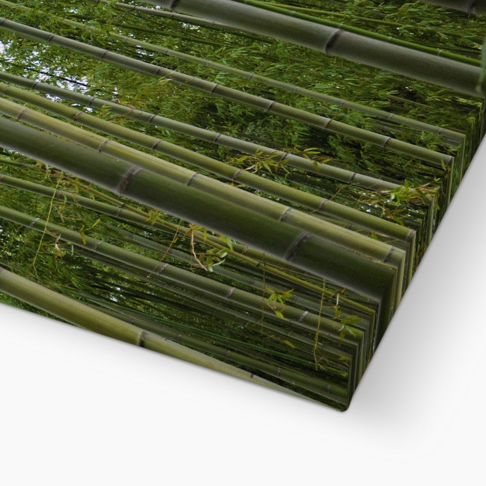 Nature: Bamboo Forest Eco Canvas