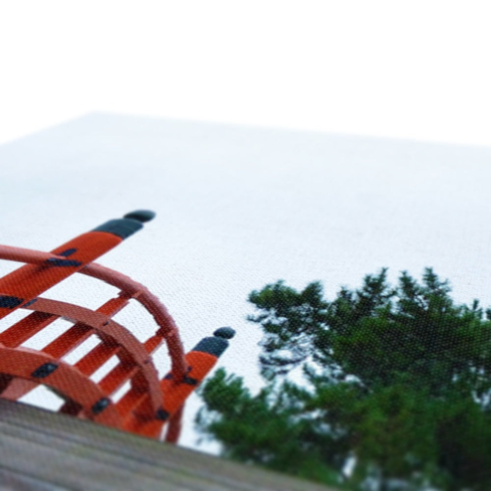 Symmetry: Bridge Eco Canvas