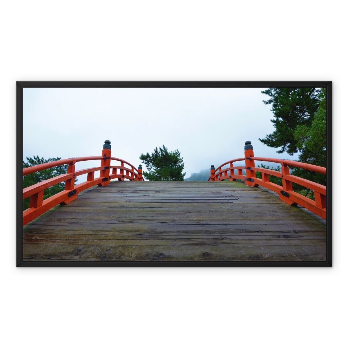 Symmetry: Bridge Framed Canvas