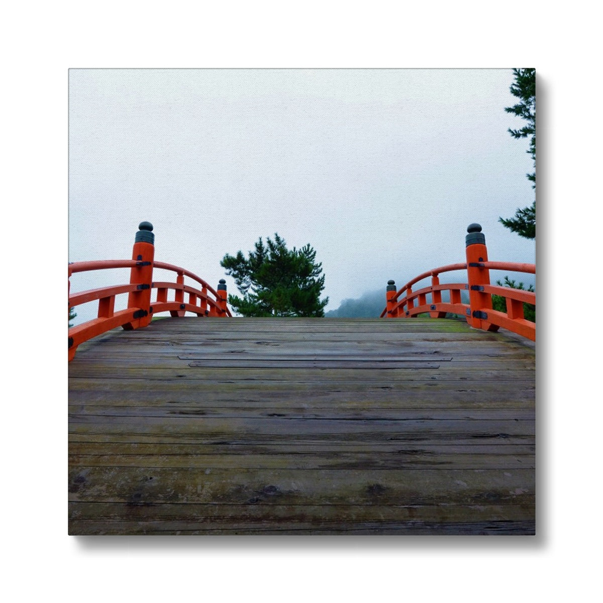 Symmetry: Bridge Eco Canvas