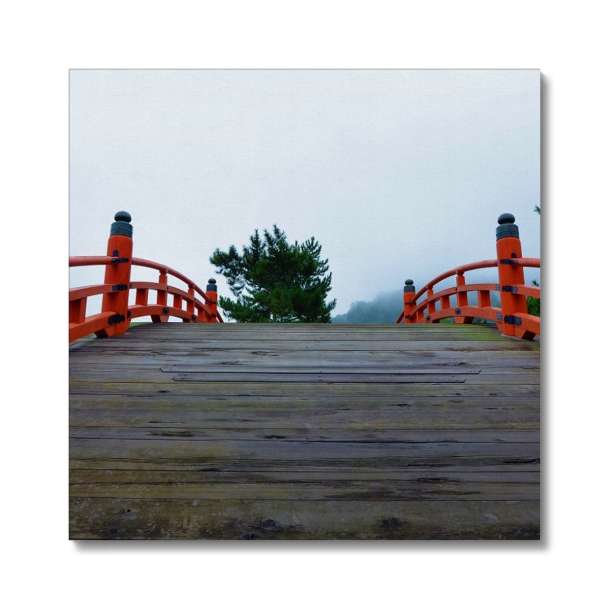 Symmetry: Bridge Canvas