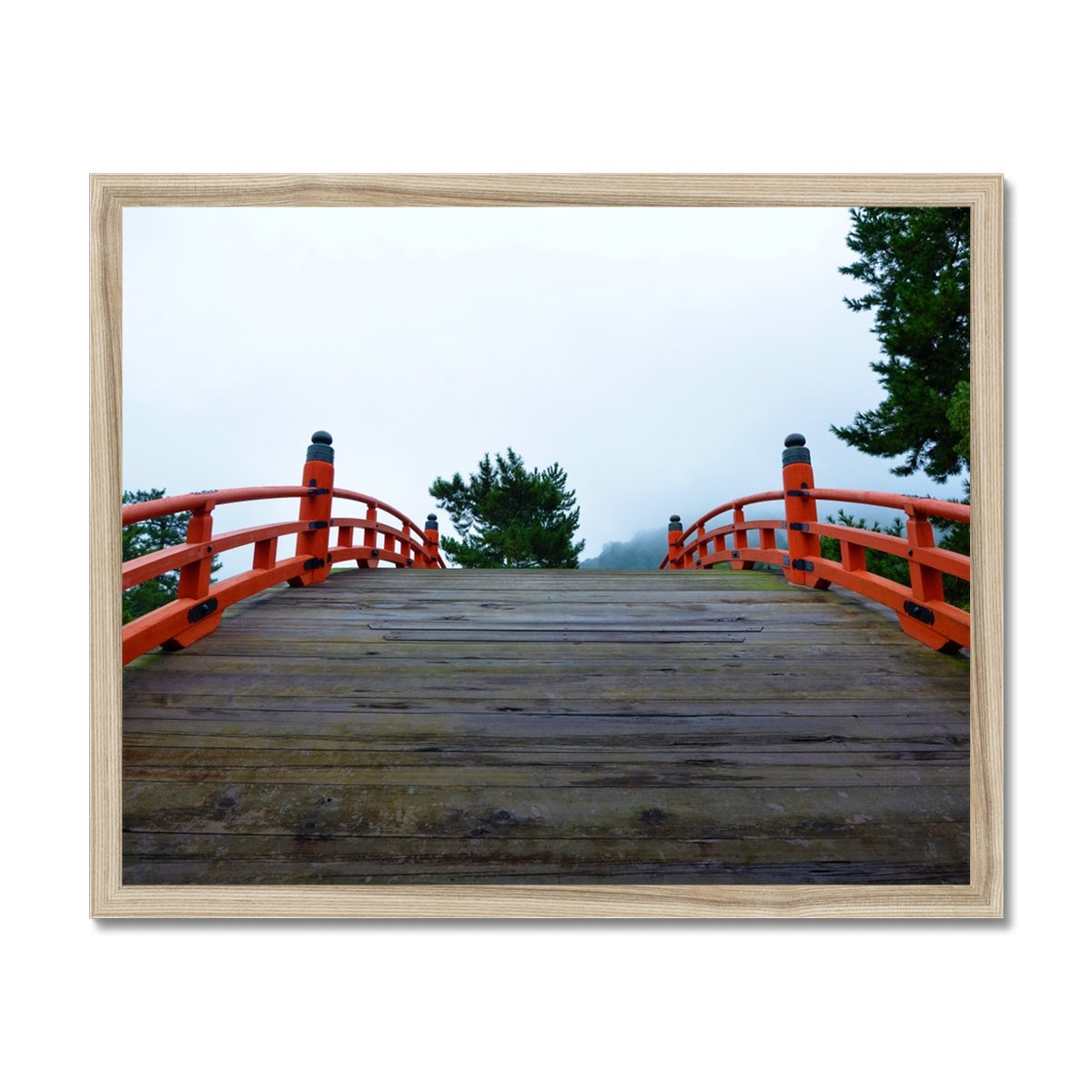 Symmetry: Bridge Framed Print