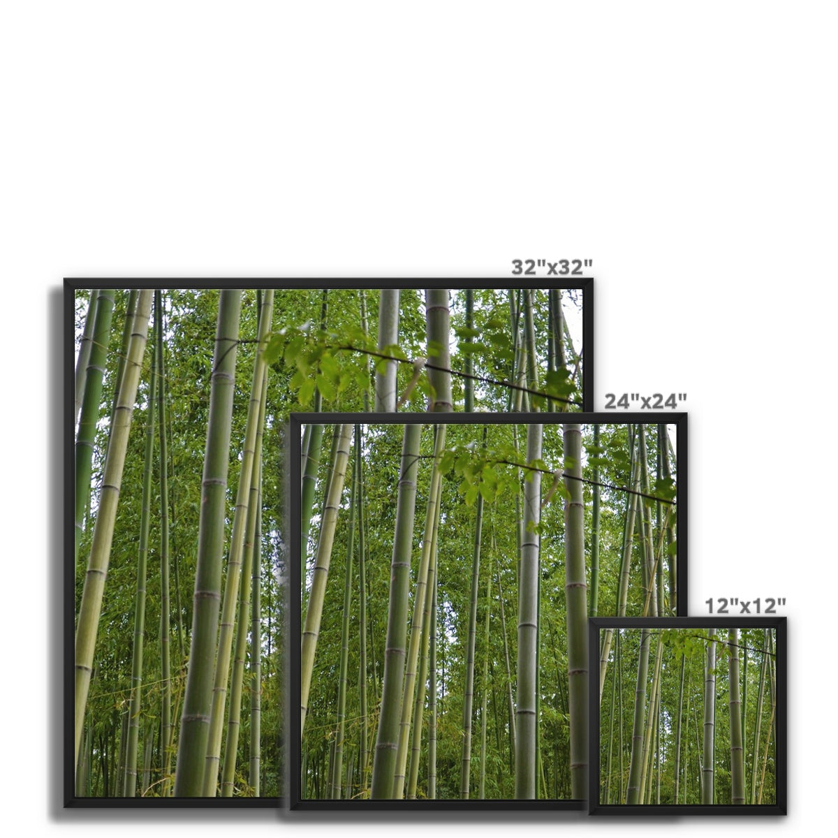 Nature: Bamboo Forest Framed Canvas