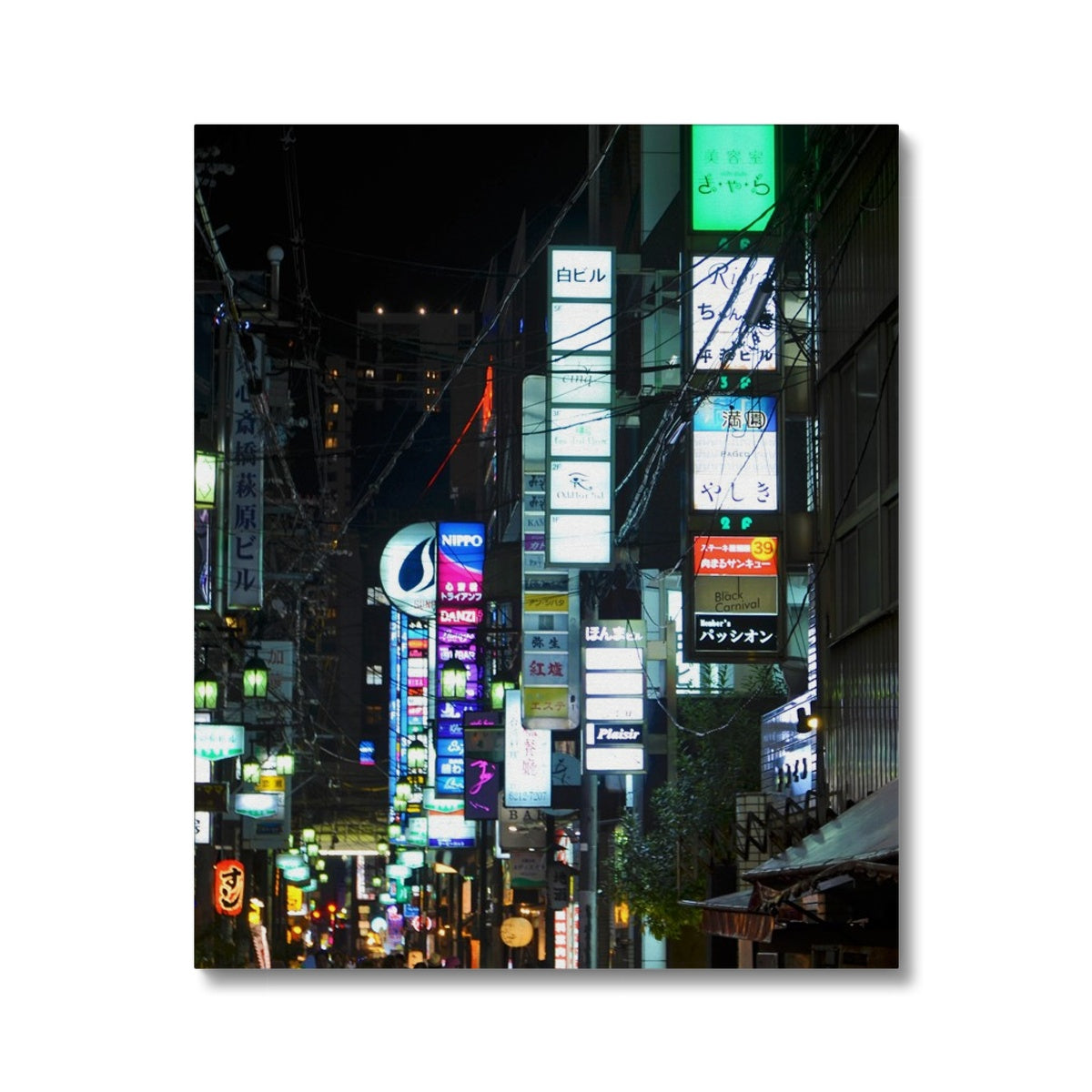 Streets: Neon Lights, Japan Canvas