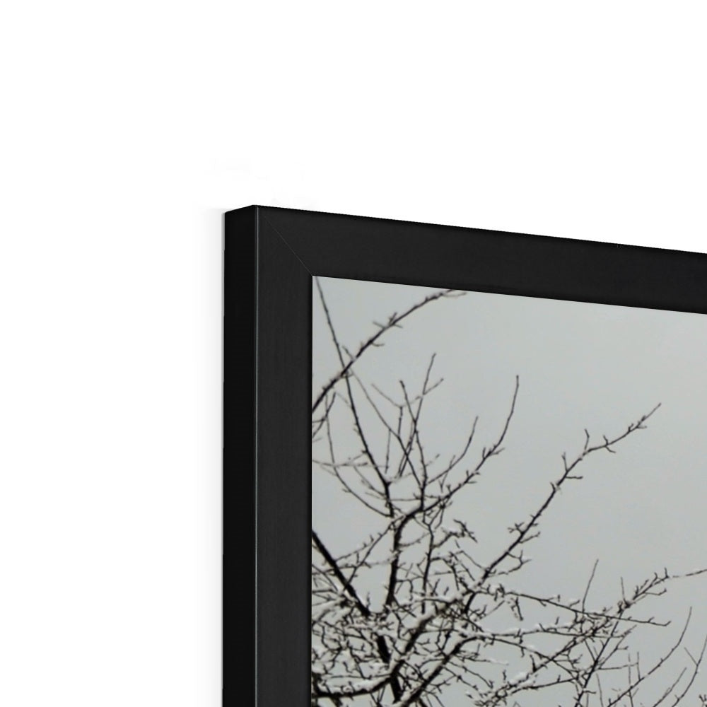 Landscape: Winter Framed Print