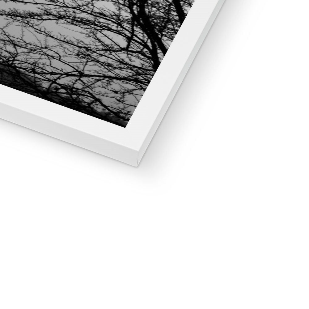 Architecture: Tension Framed Print