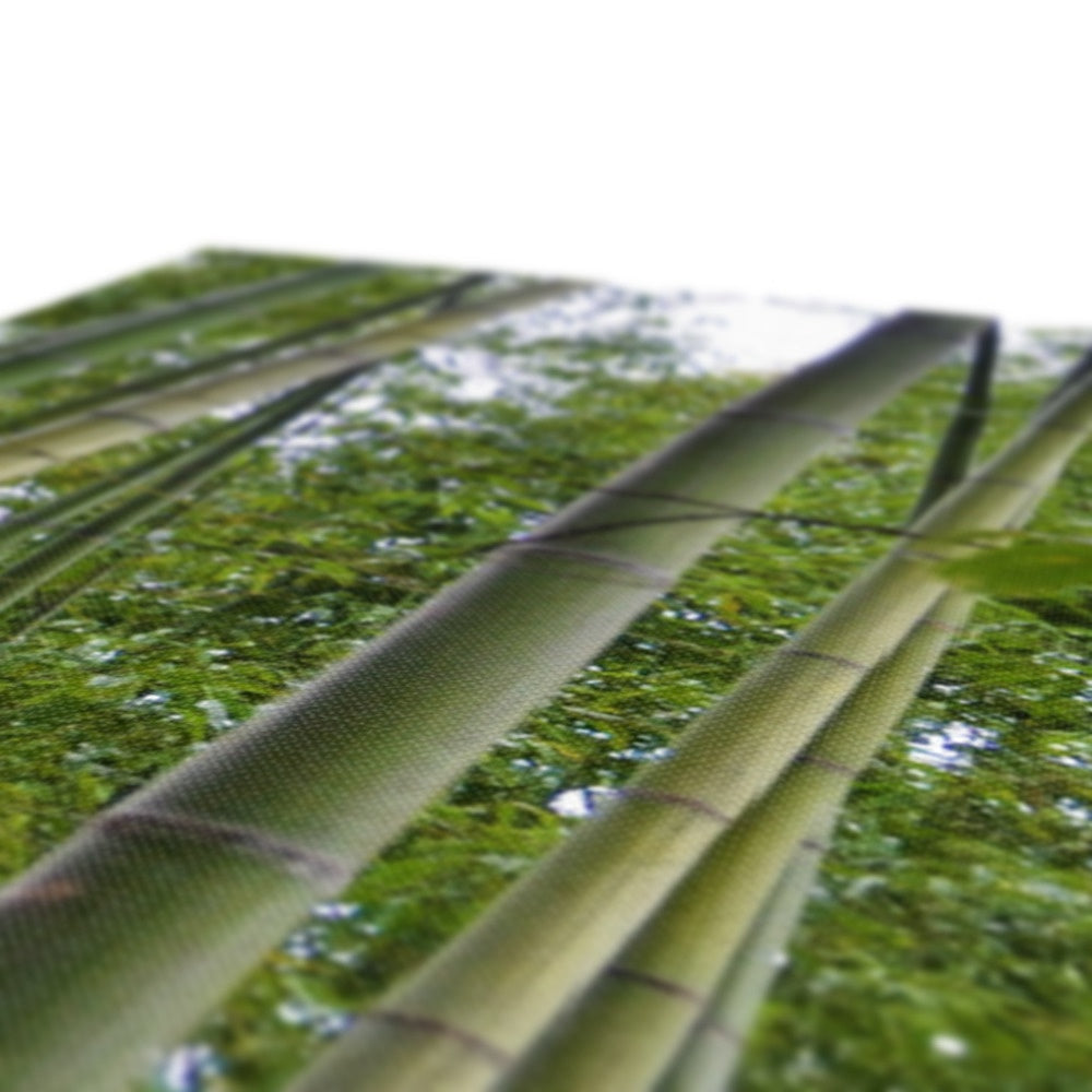 Nature: Bamboo Forest Canvas