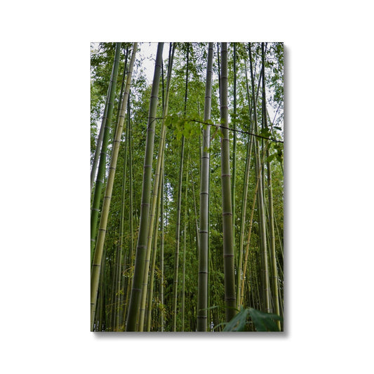 Nature: Bamboo Forest Eco Canvas