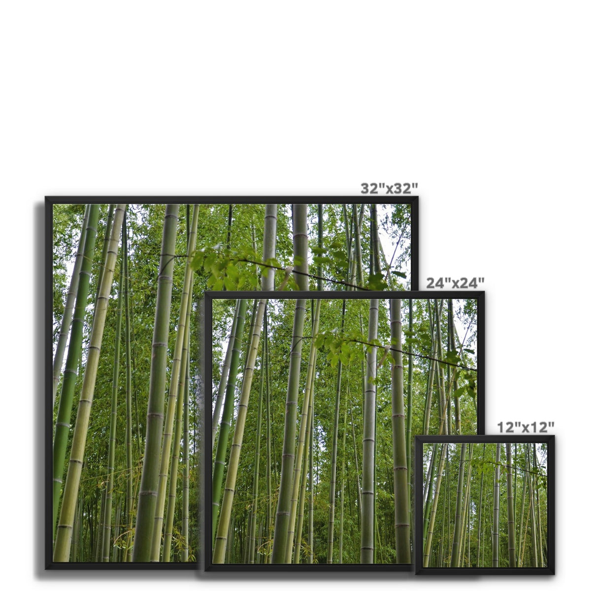 Nature: Bamboo Forest Framed Canvas