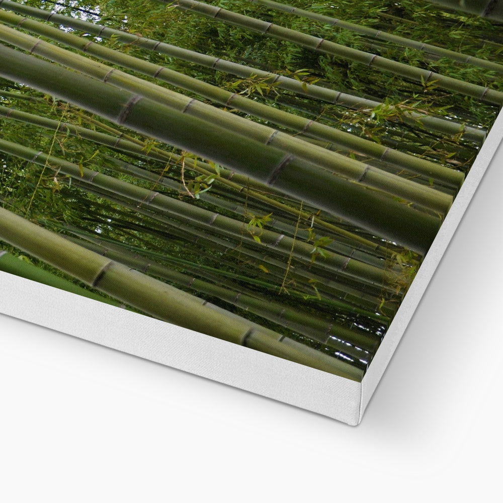 Nature: Bamboo Forest Canvas