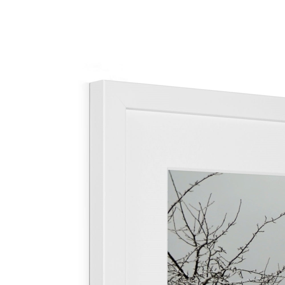 Landscape: Winter Framed & Mounted Print