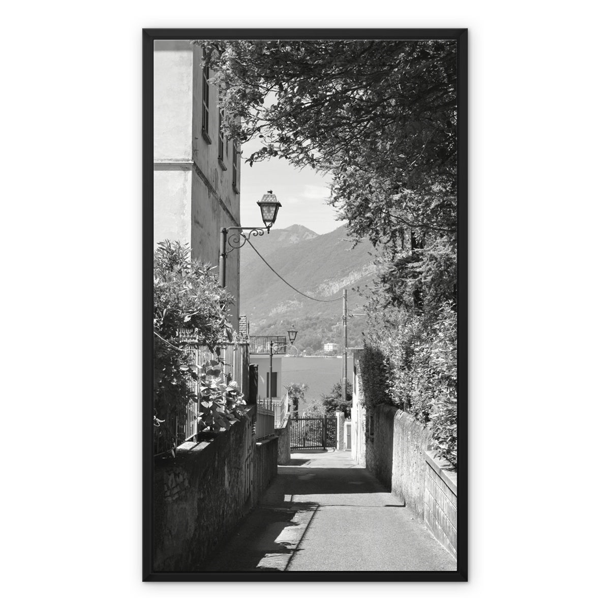 Streets: A Narrow Path Framed Canvas