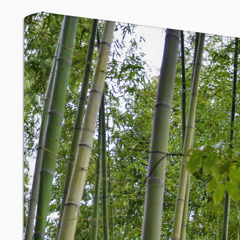 Nature: Bamboo Forest Canvas