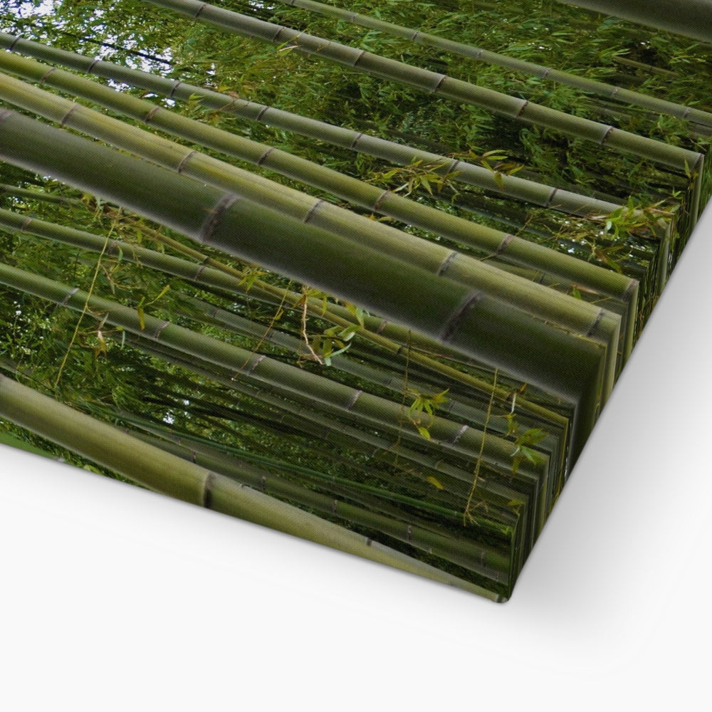 Nature: Bamboo Forest Canvas